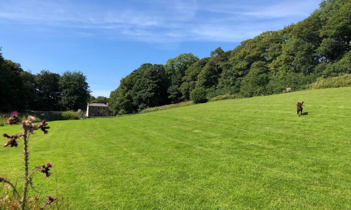 Photo of Others in Camborne