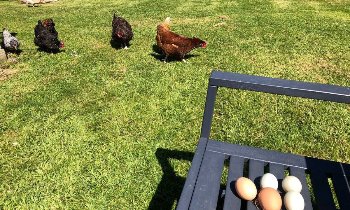 Photo of Outdoor in Camborne