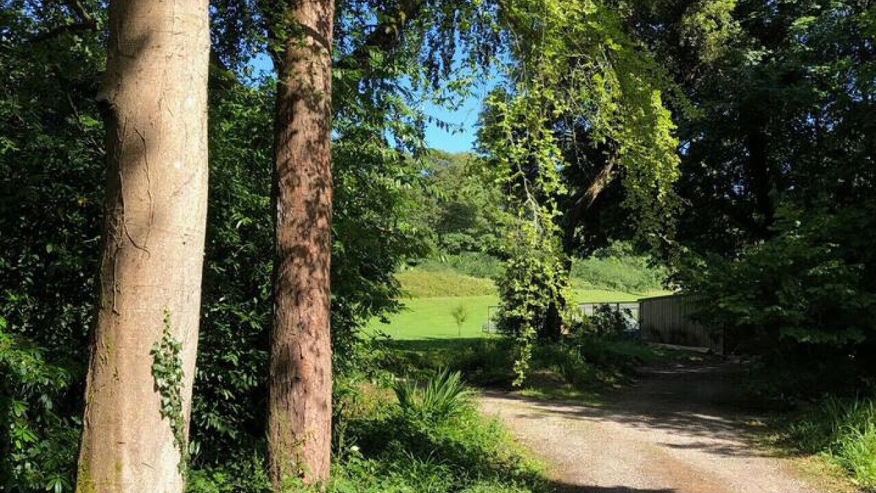 Photo of Others in Camborne