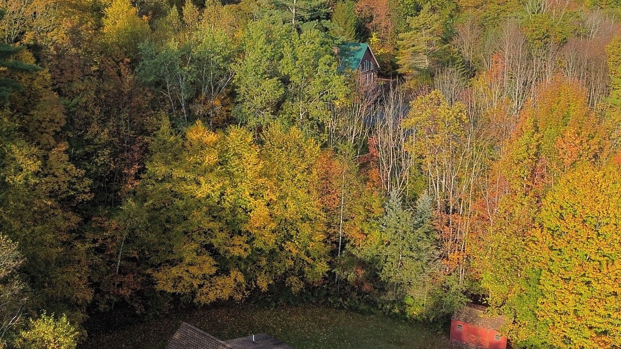 Photo of Outdoor in North Springfield