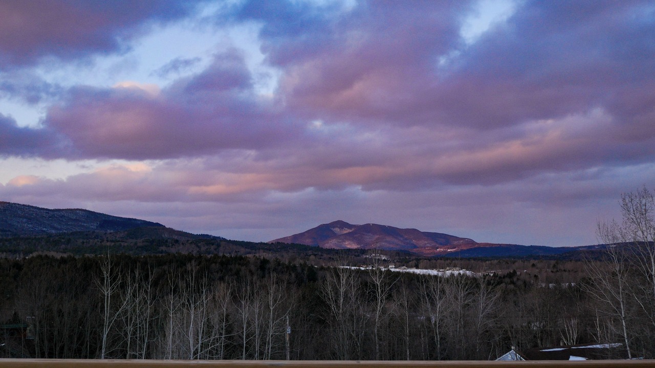 Photo of Outdoor in North Springfield