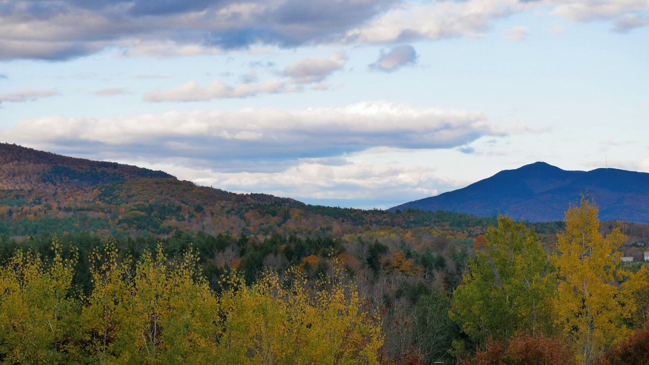 Photo of Others in North Springfield