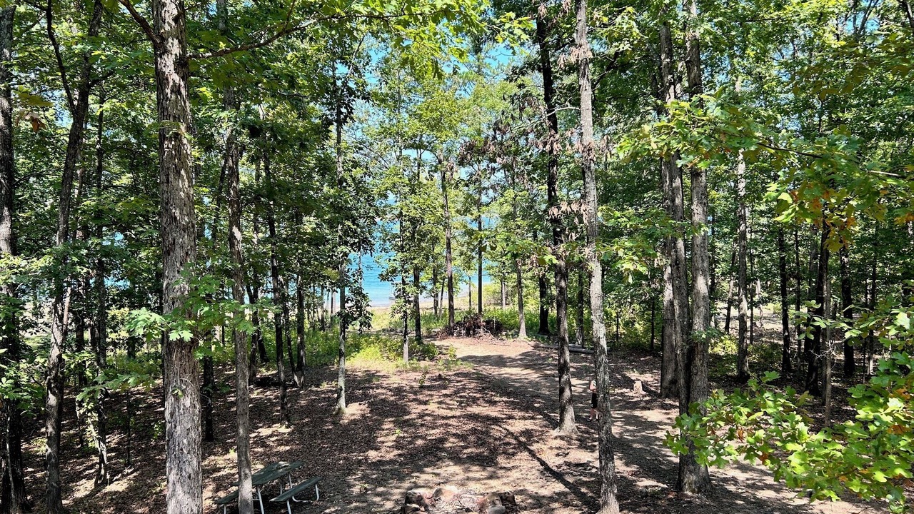 Photo of Outdoor in Quitman
