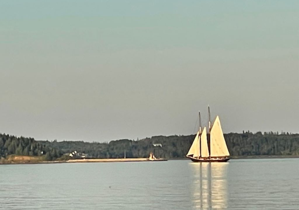 Photo of Others in Feltzen South