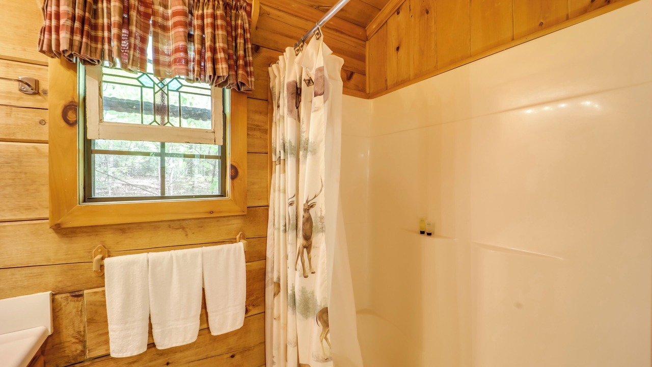 Photo of Bathroom in Vein Mountain
