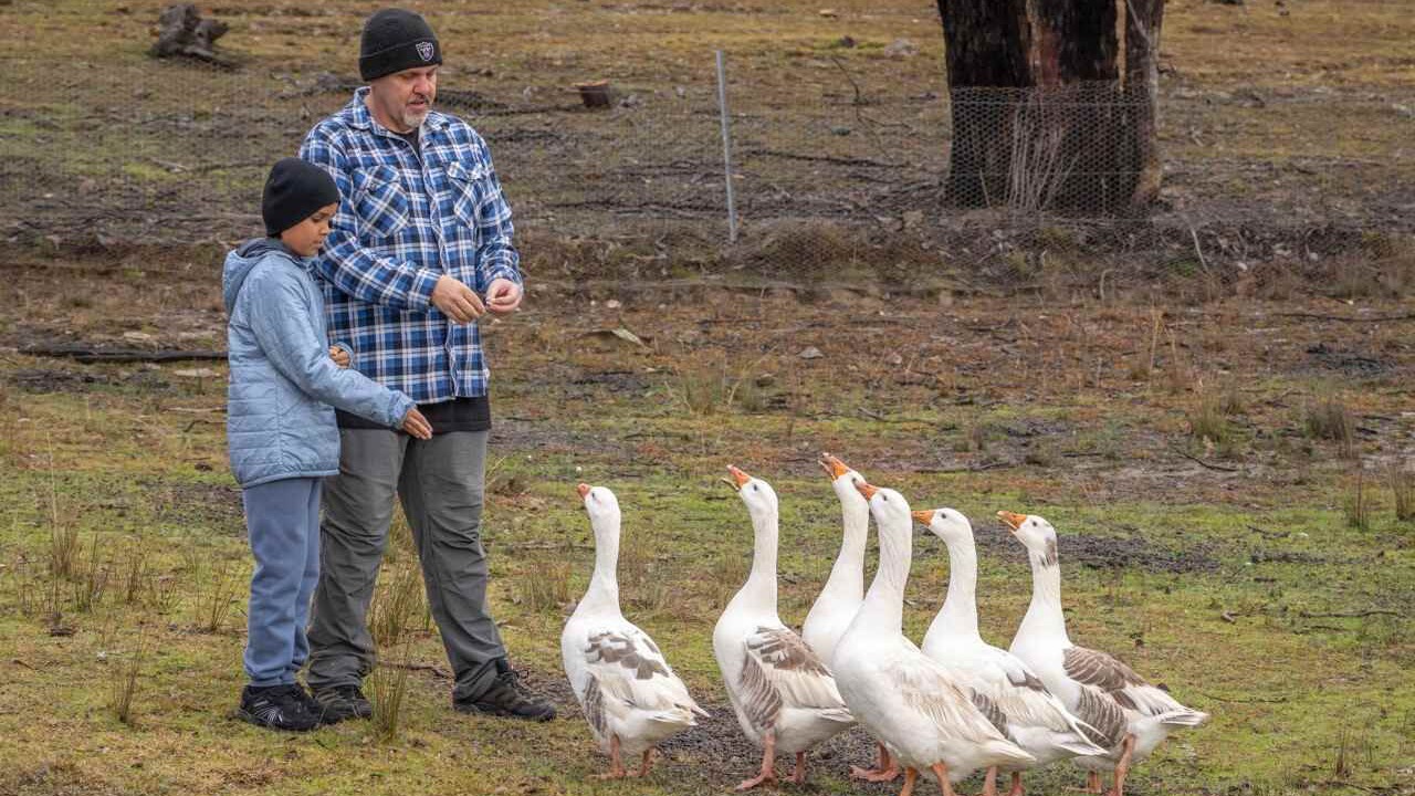 Photo of Others in Windeyer