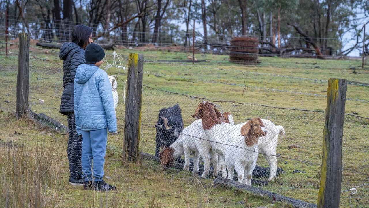 Photo of Others in Windeyer