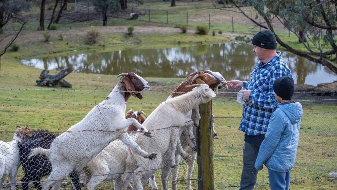 Photo of Others in Windeyer