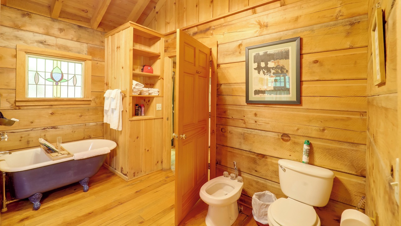 Photo of Bathroom in Vein Mountain