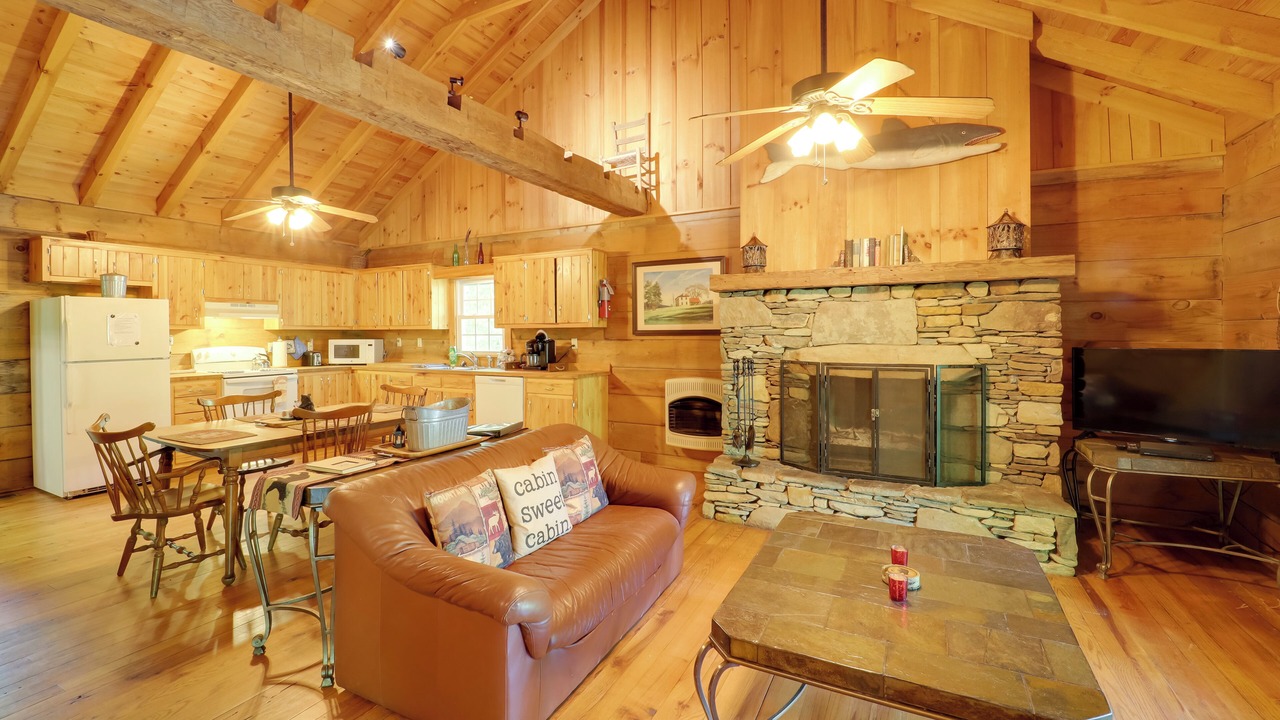 Photo of Livingroom in Vein Mountain