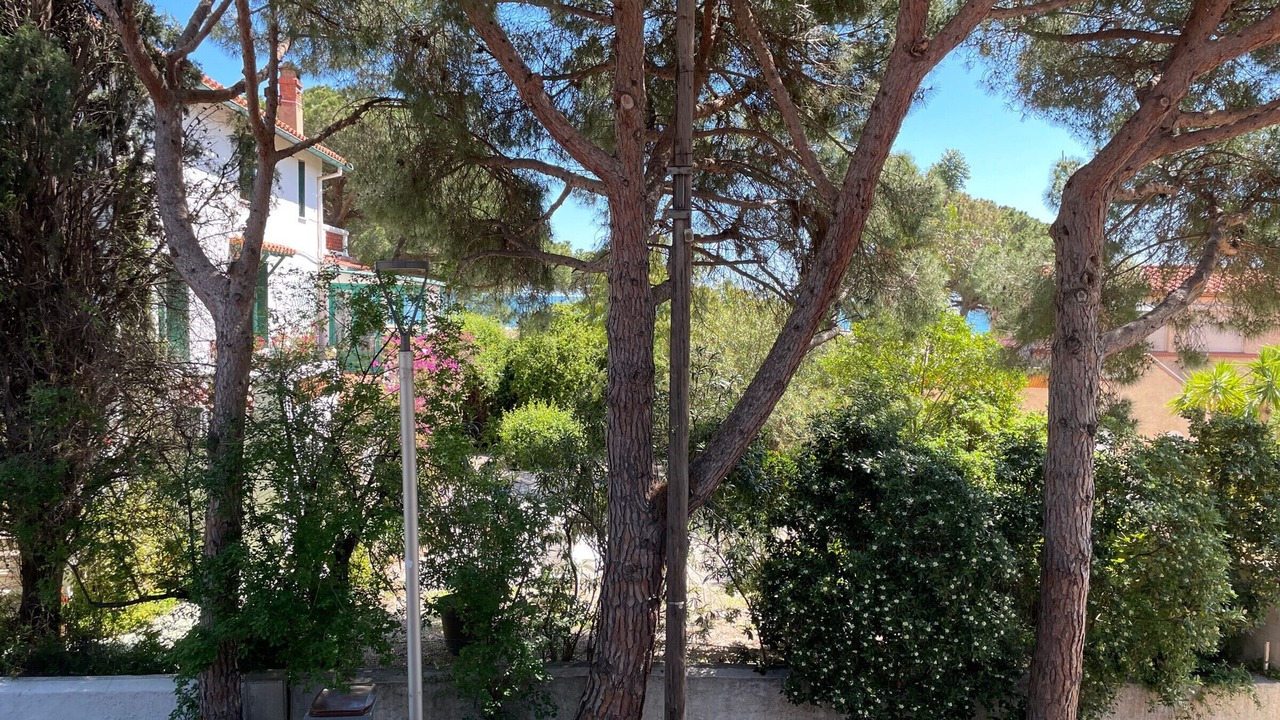 Photo of Outdoor in Plage d'Argeles