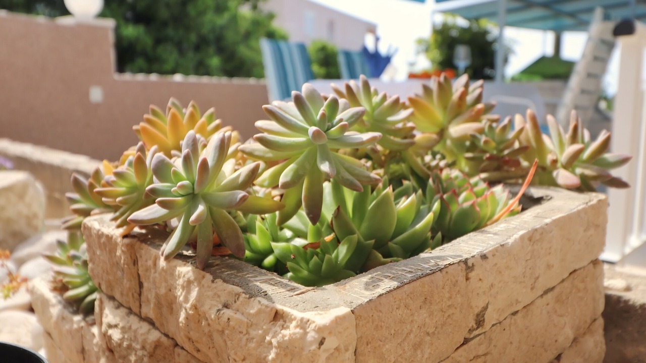 Photo of Outdoor in Blato