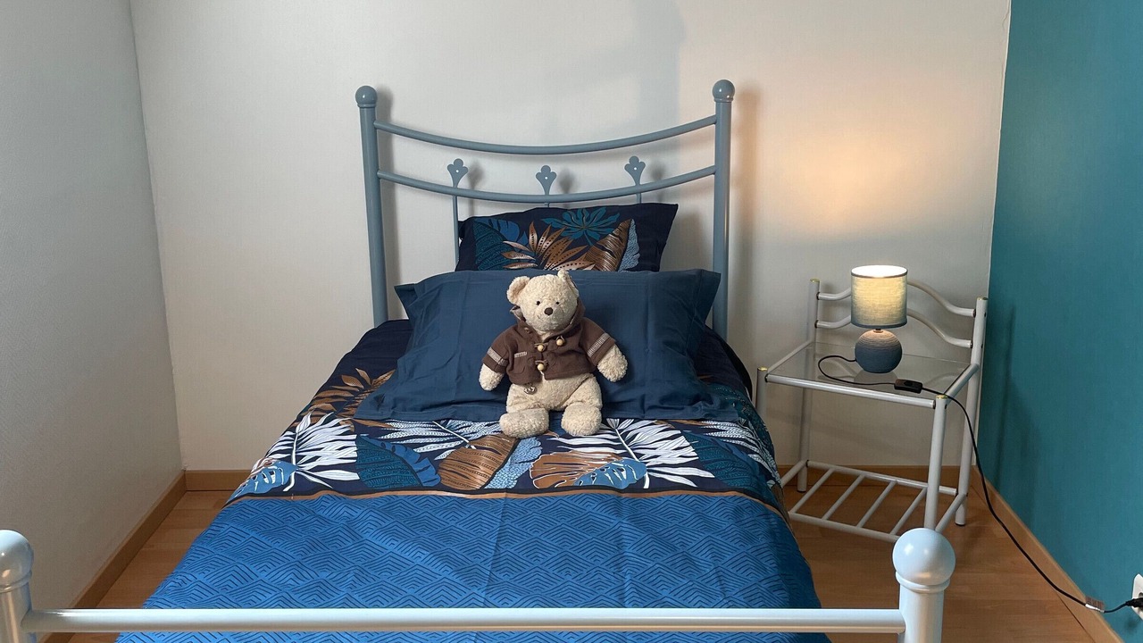 Photo of Bedroom in La Chapelle-Saint-Aubin