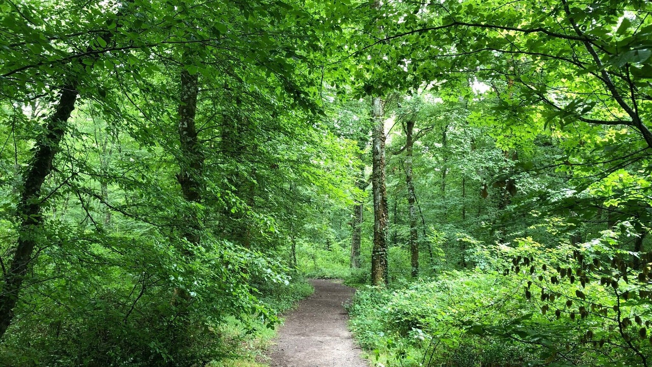 Photo of Outdoor in Sajas