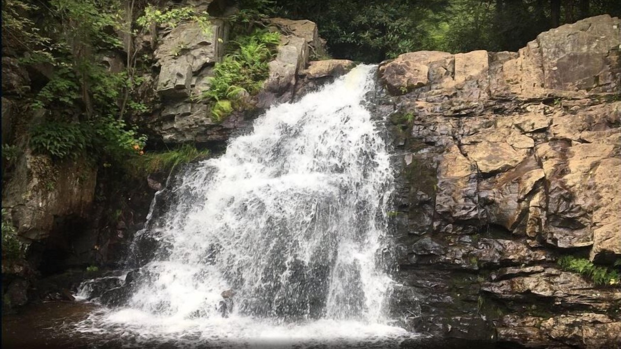 Photo of Others in Briar Crest Woods