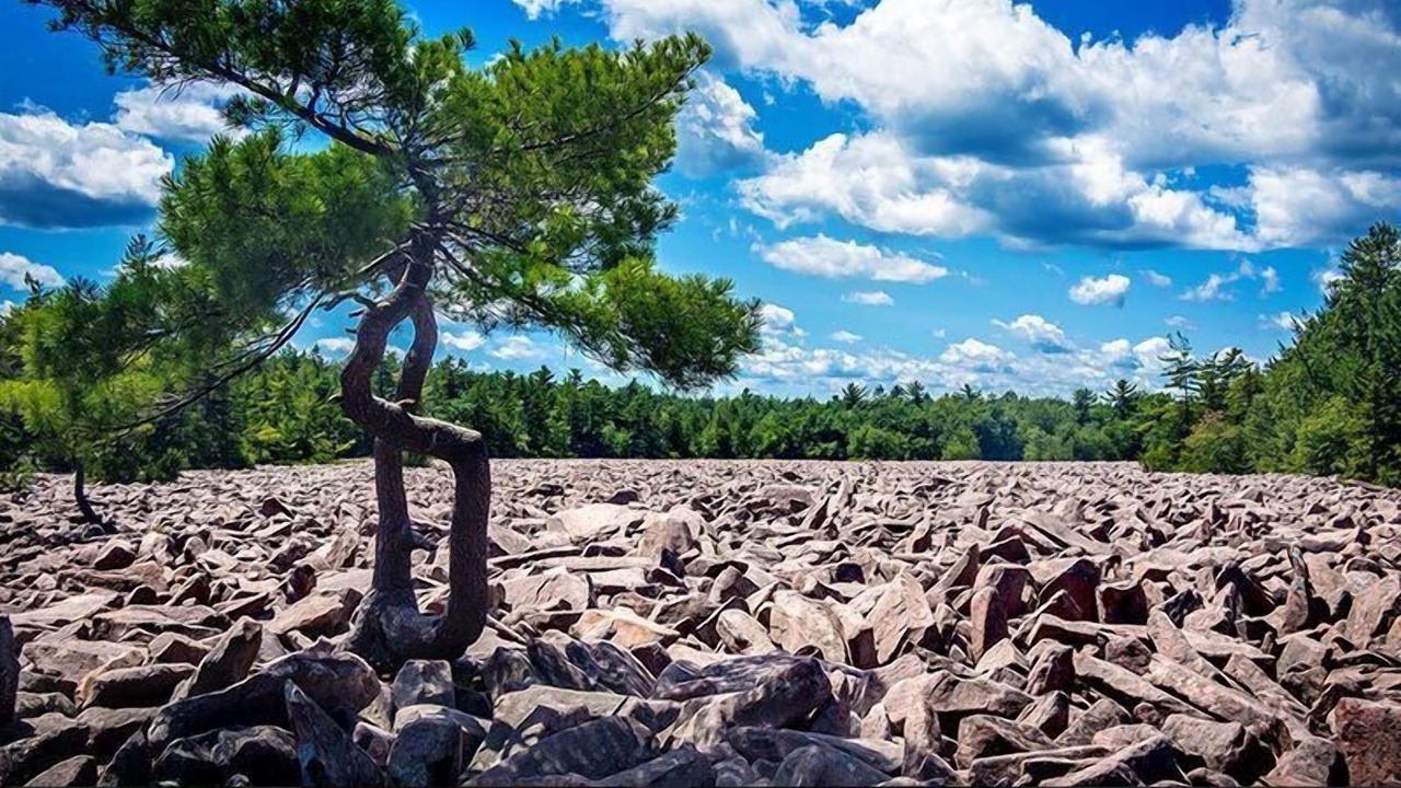 Photo of Others in Briar Crest Woods