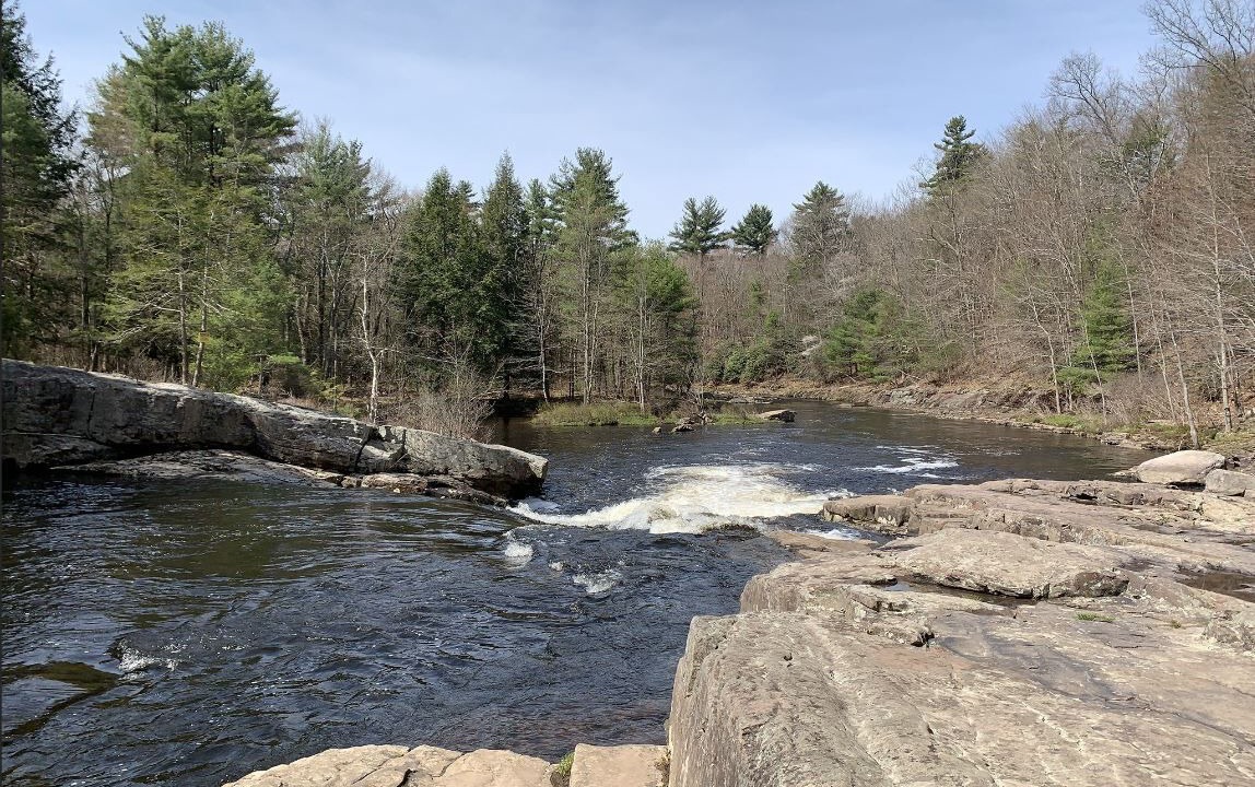 Photo of Others in Briar Crest Woods