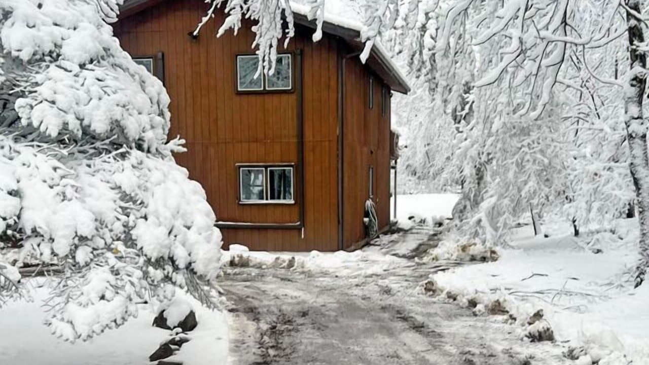 Photo of Others in Briar Crest Woods