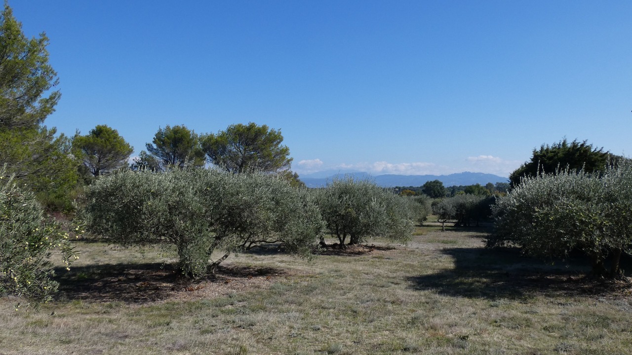 Photo of Outdoor in Serignan-du-Comtat