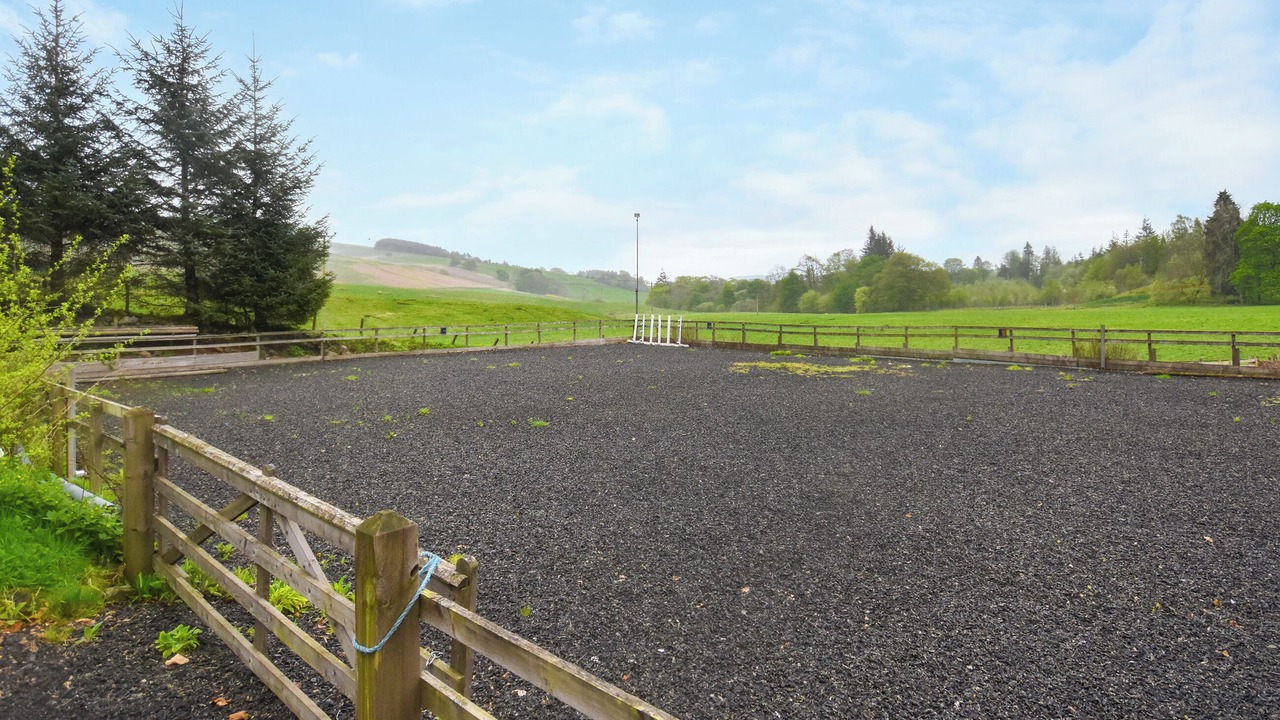 Photo of Others in Dollar