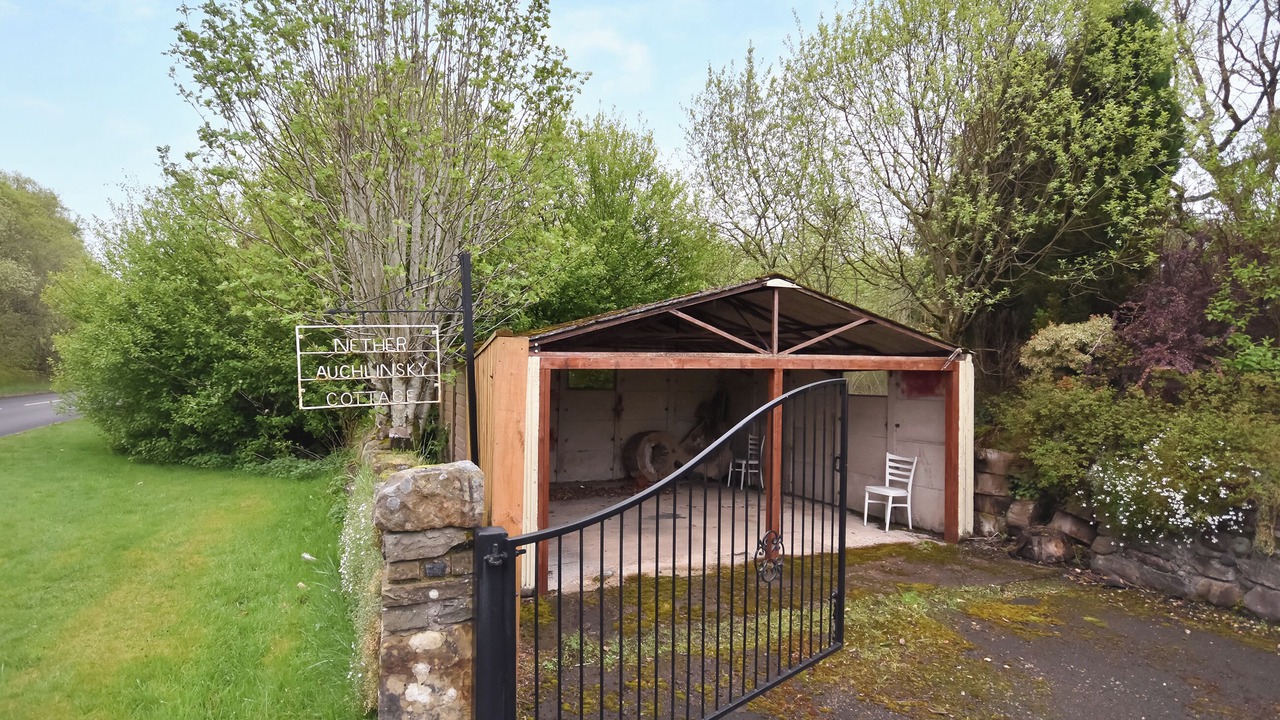 Photo of Others in Dollar