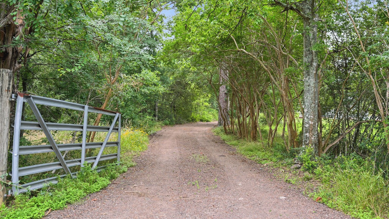 Photo of Outdoor in Wellborn