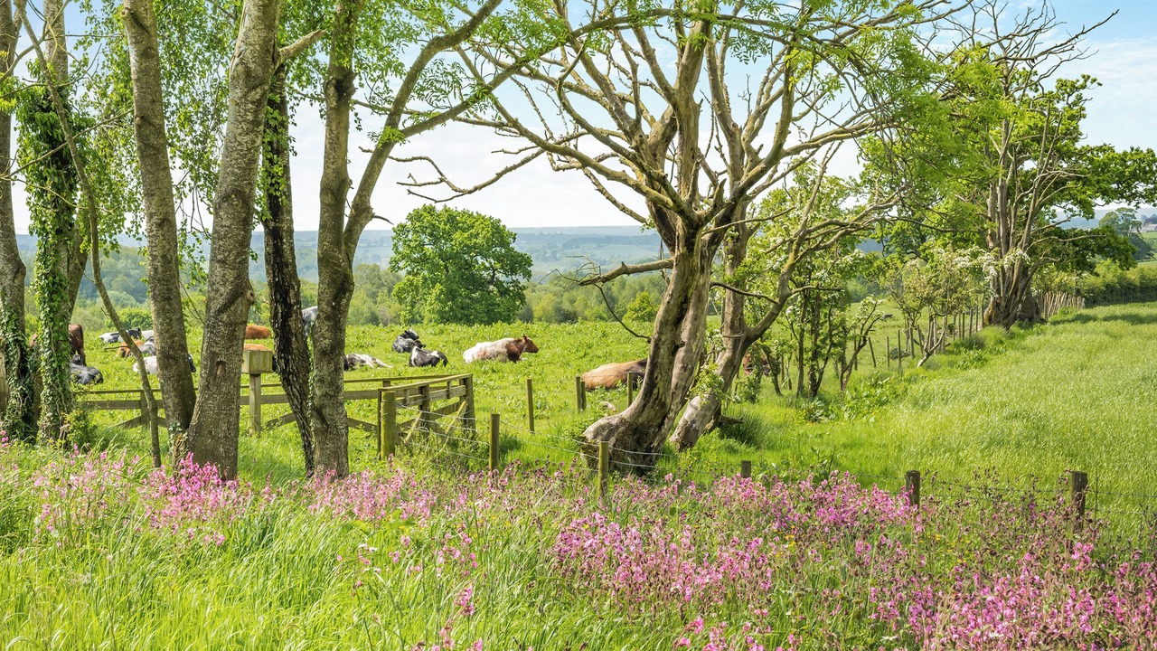 Photo of Others in Wing