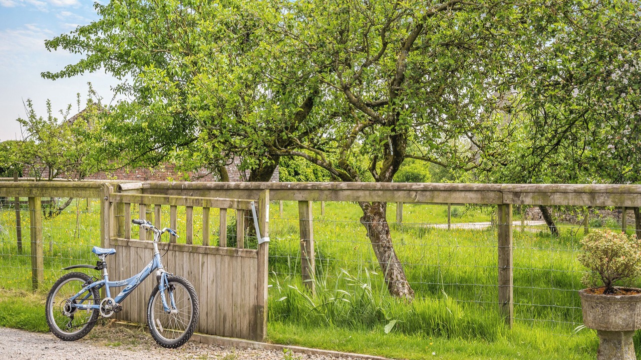 Photo of Others in Wing