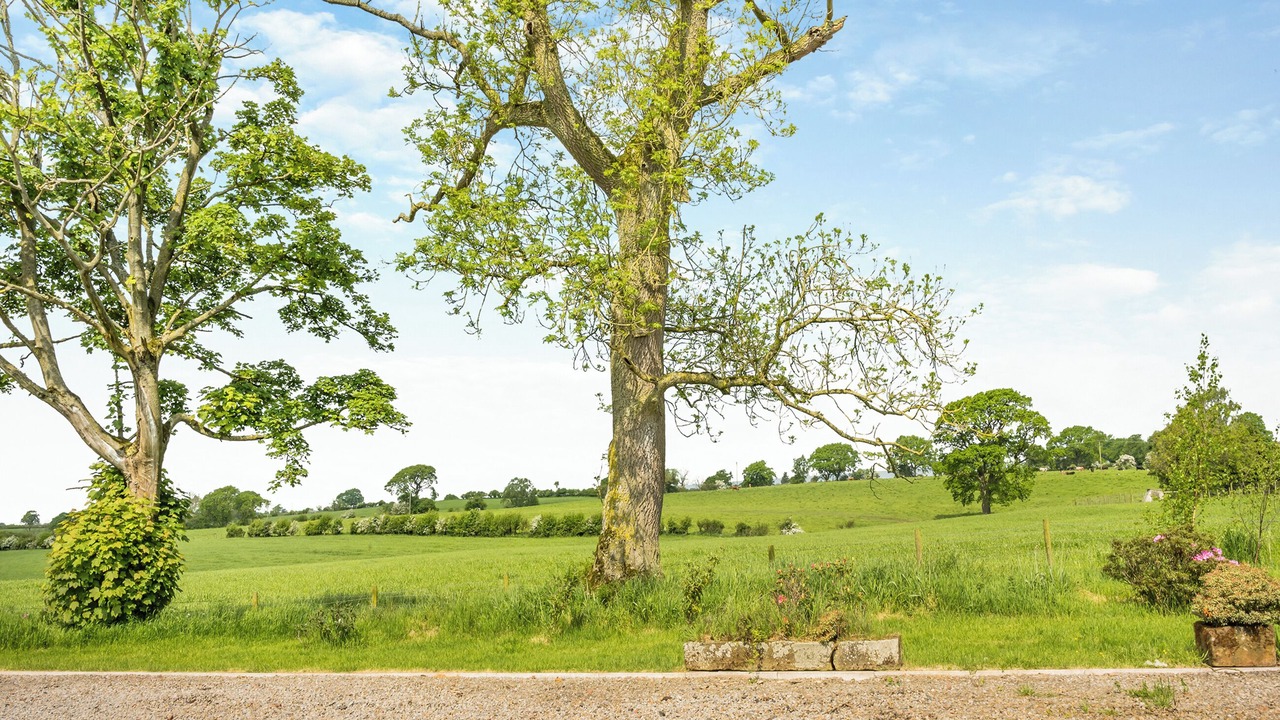 Photo of Others in Wing