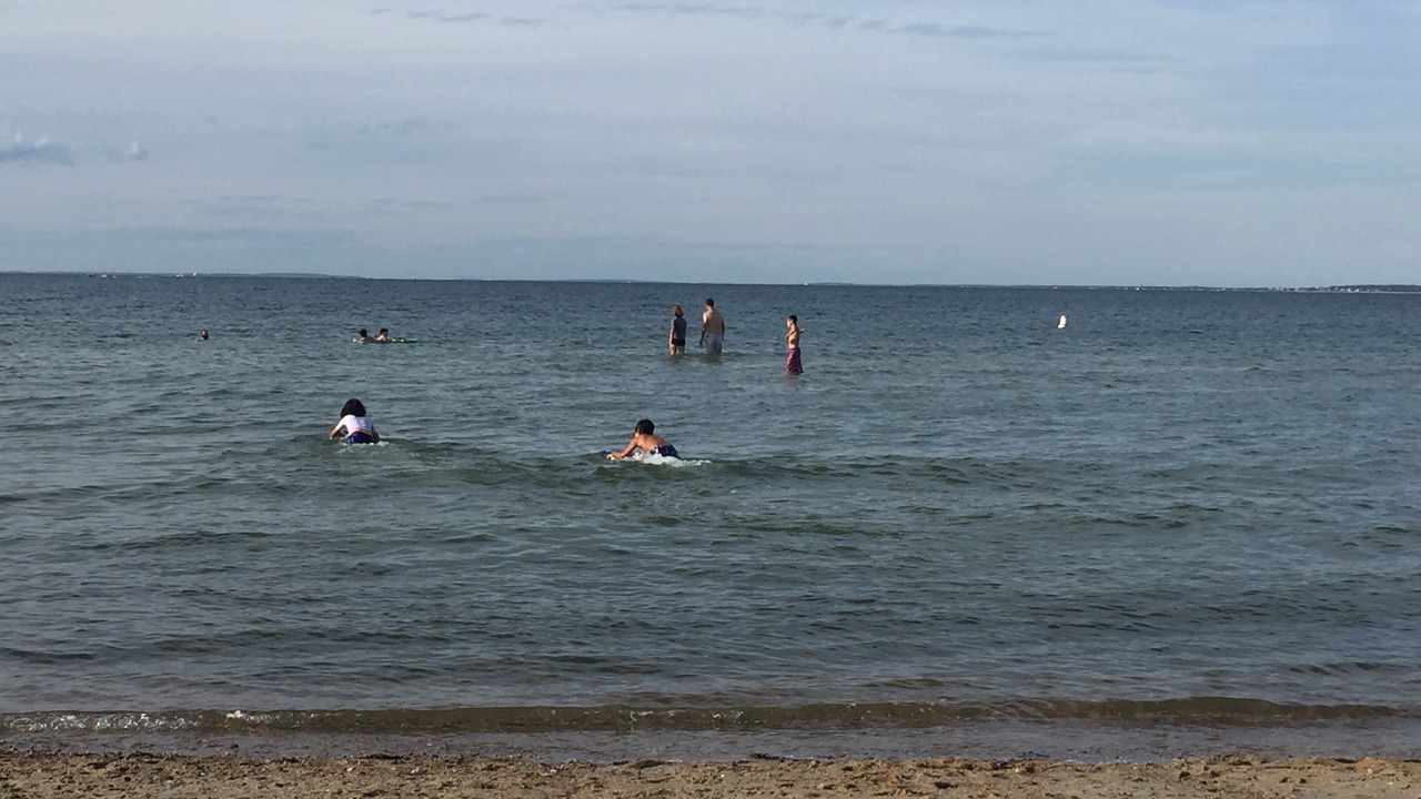 Photo of Others in Woods Hole