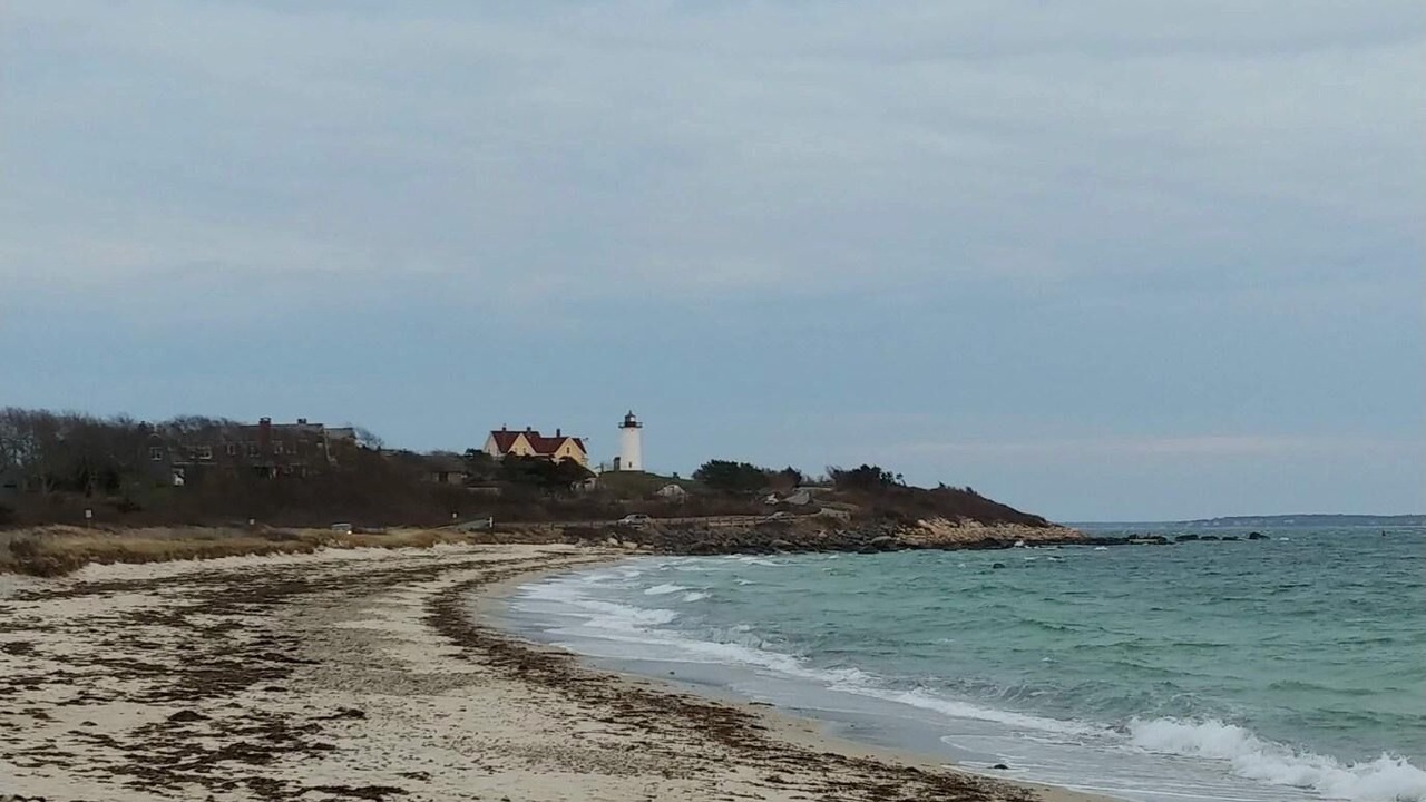 Photo of Others in Woods Hole