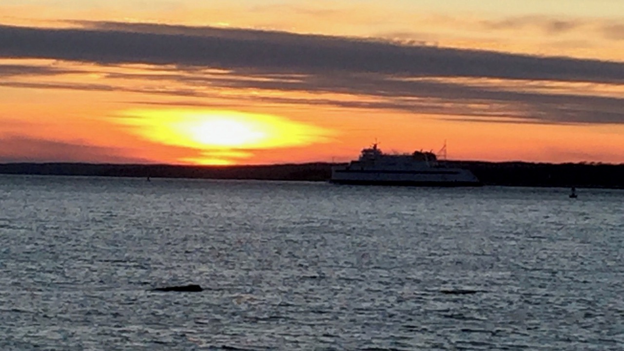 Photo of Others in Woods Hole