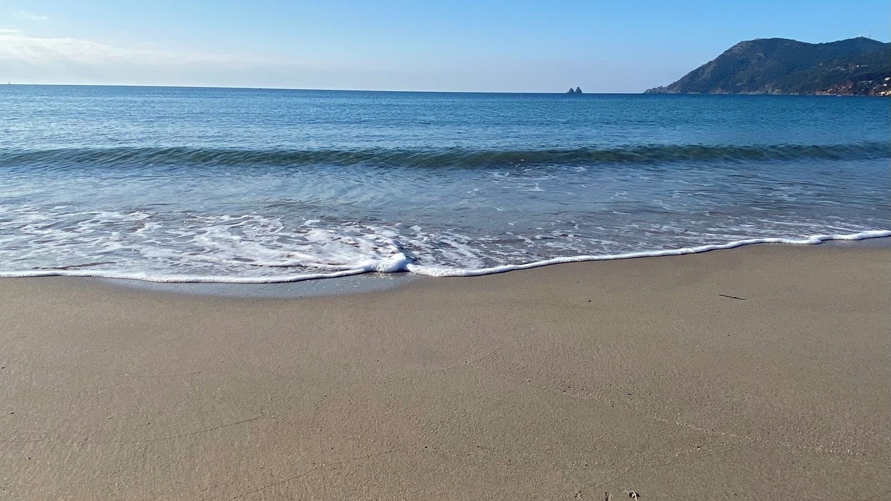 Photo of Others in Les Sablettes