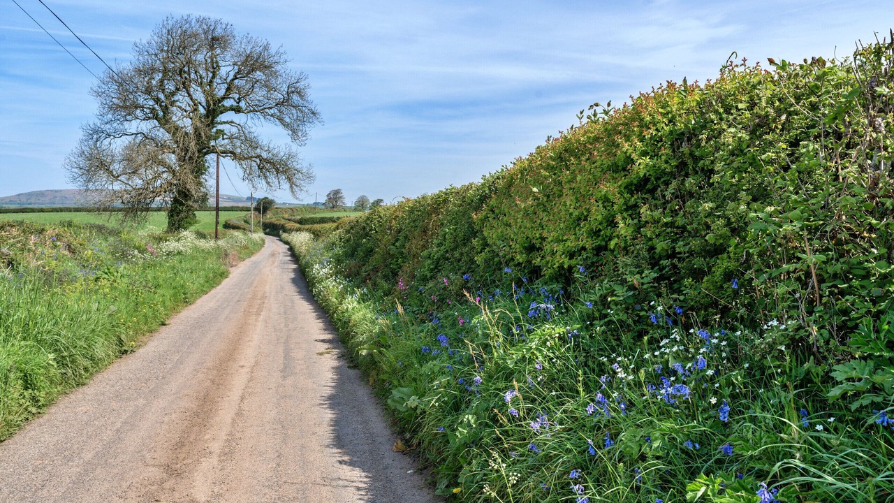 Photo of Others in Liskeard