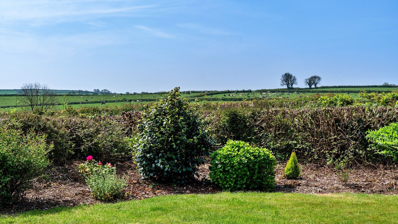 Photo of Outdoor in Liskeard