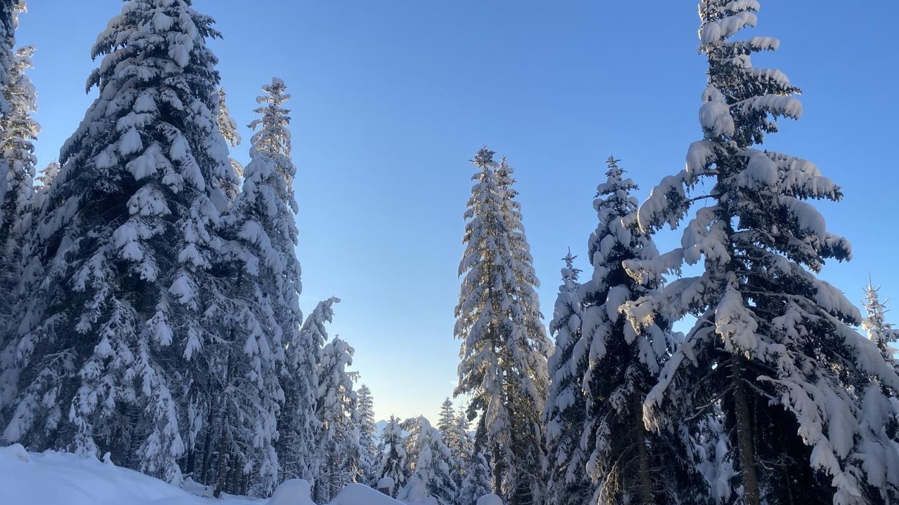 Photo of Outdoor in Queige