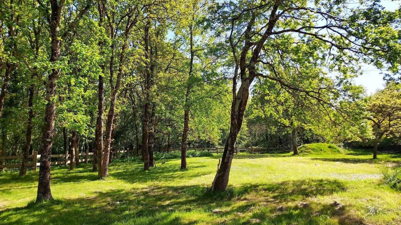 Photo of Outdoor in Sarzeau