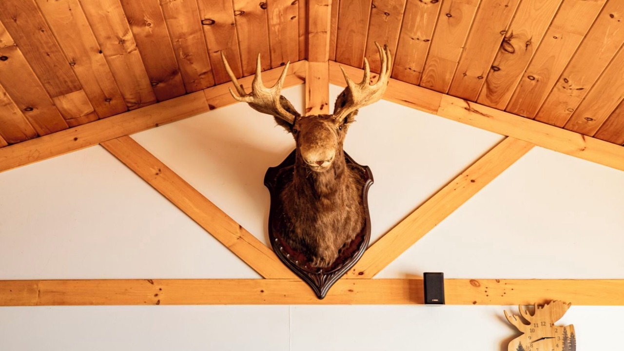 Photo of Others in Northwest Piscataquis