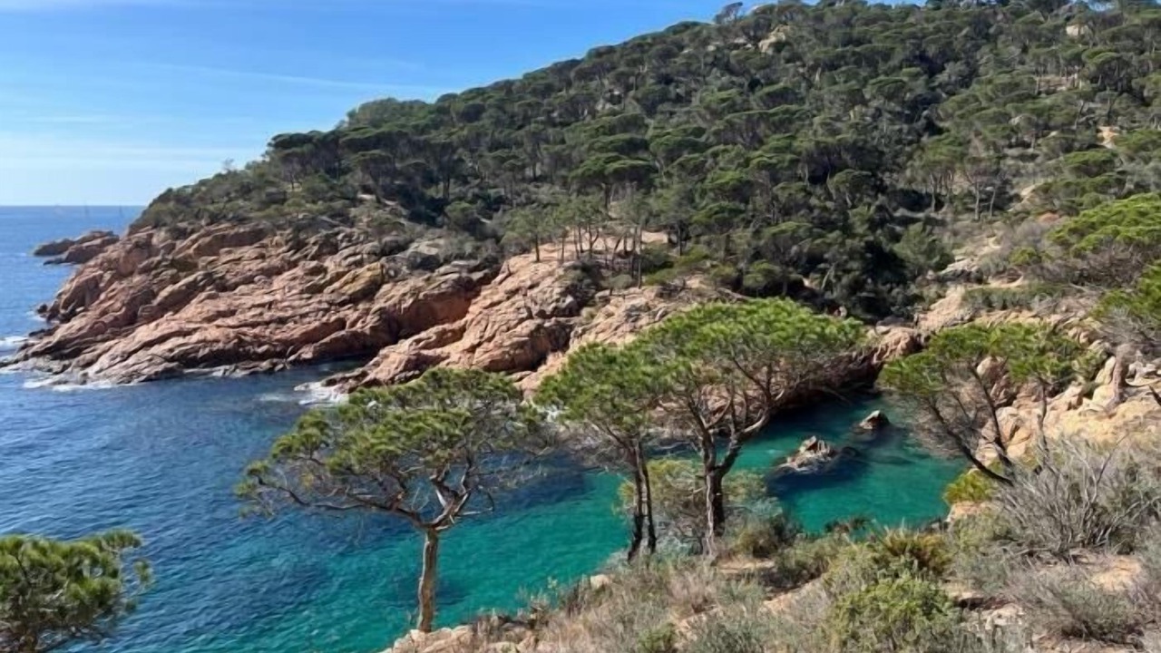 Photo of Others in Sant Feliu de Guixols