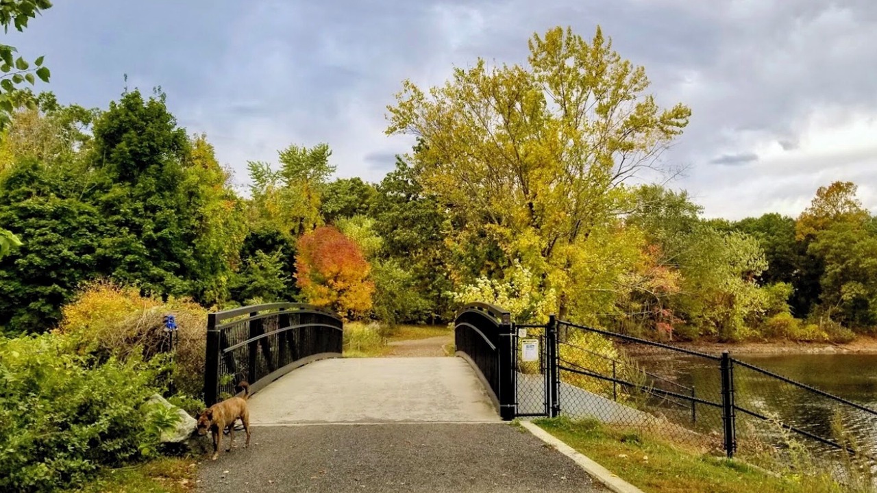 Photo of Outdoor in Arlington