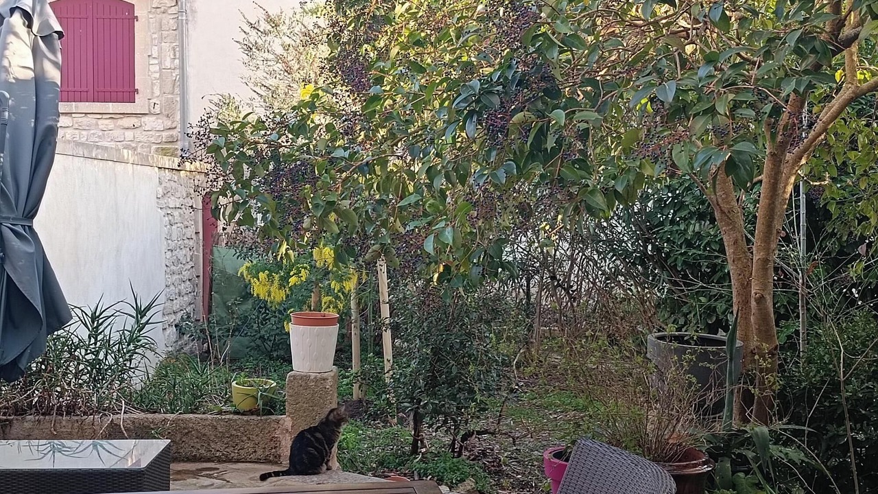 Photo of Outdoor in Monteils