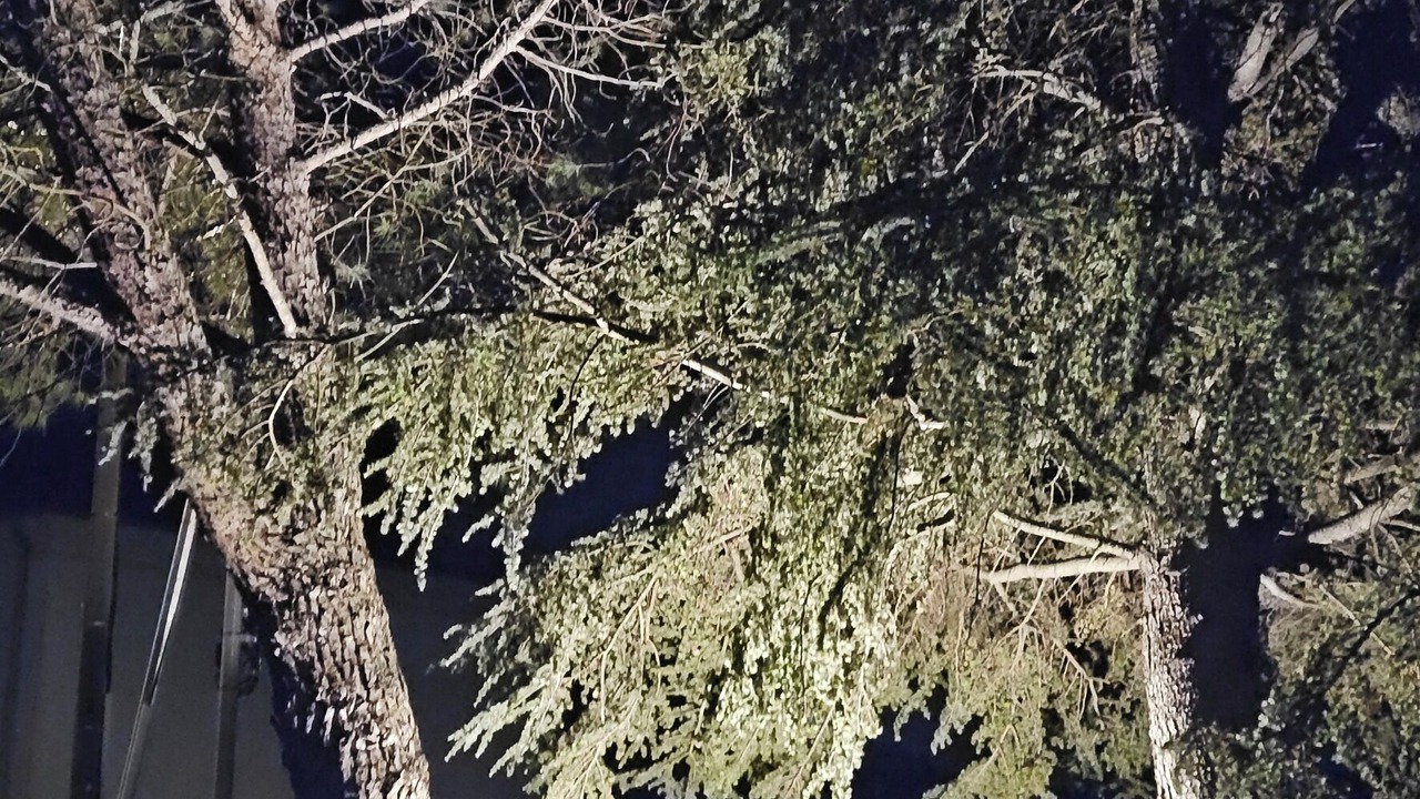 Photo of Outdoor in Coustellet