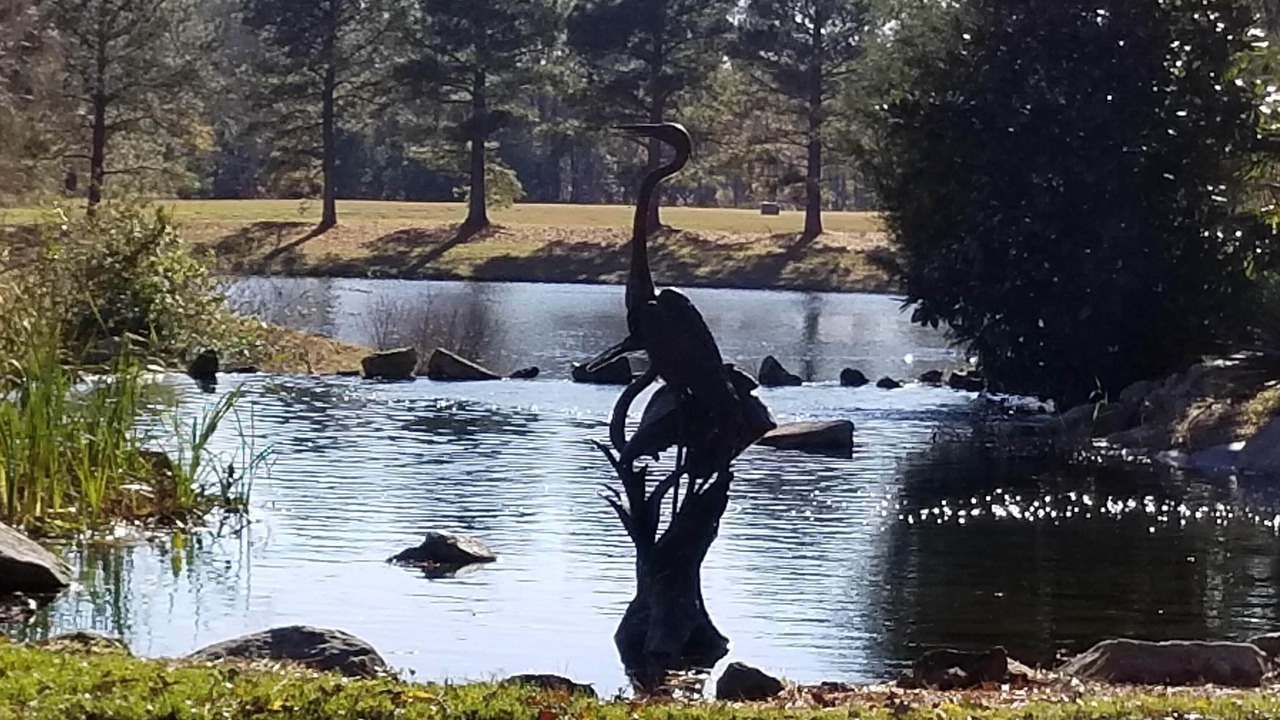 Photo of Outdoor in Cape Charles