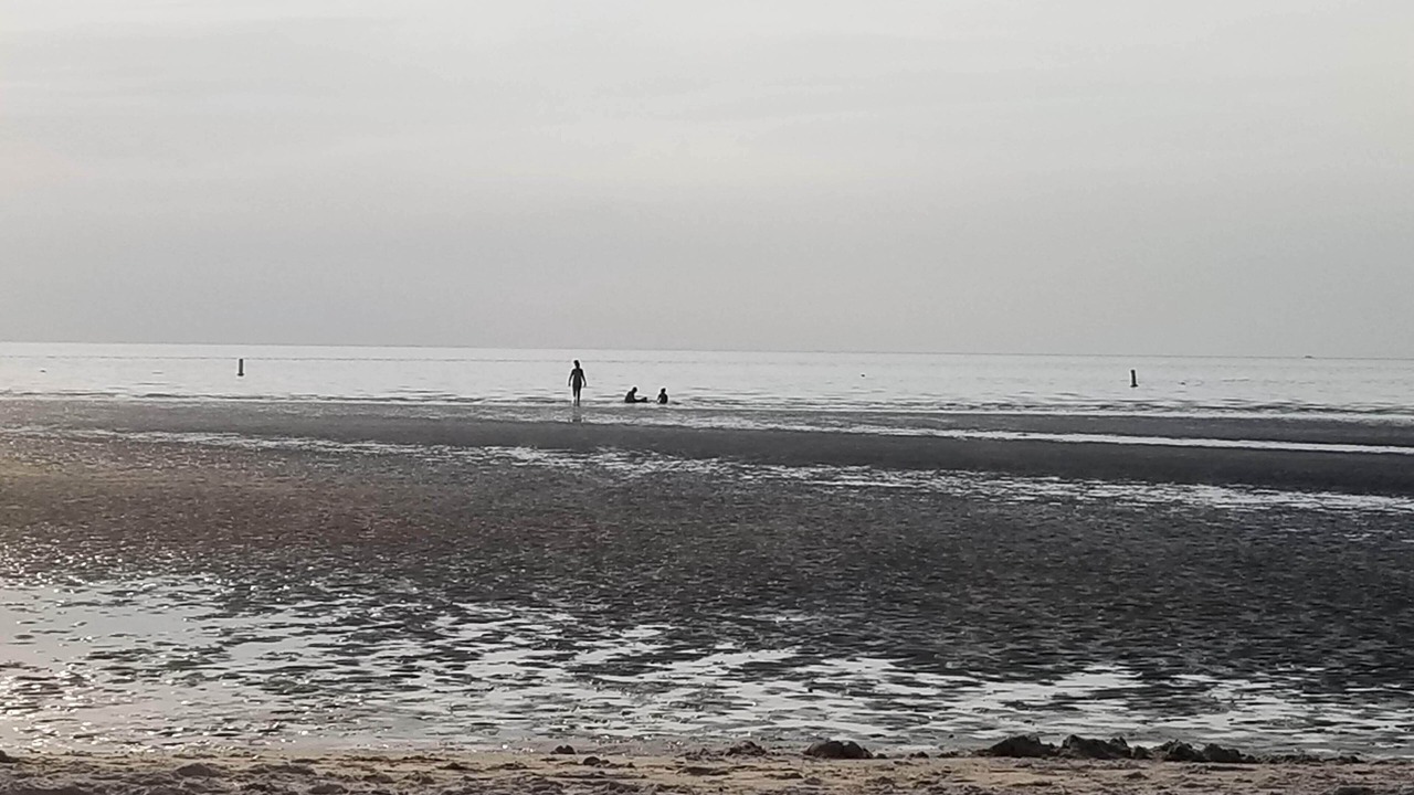Photo of Others in Cape Charles