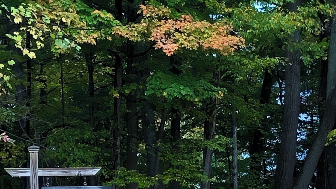 Photo of Others in Trumansburg