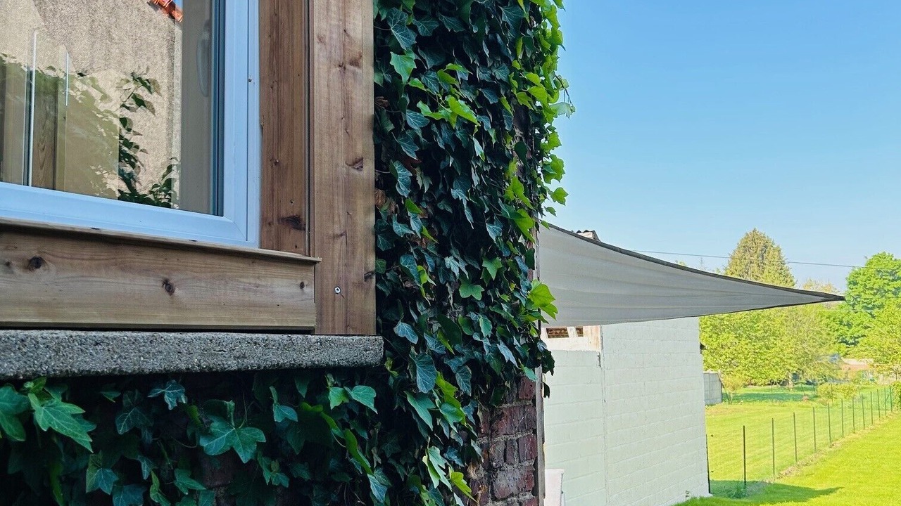 Photo of Outdoor in Loeuilly