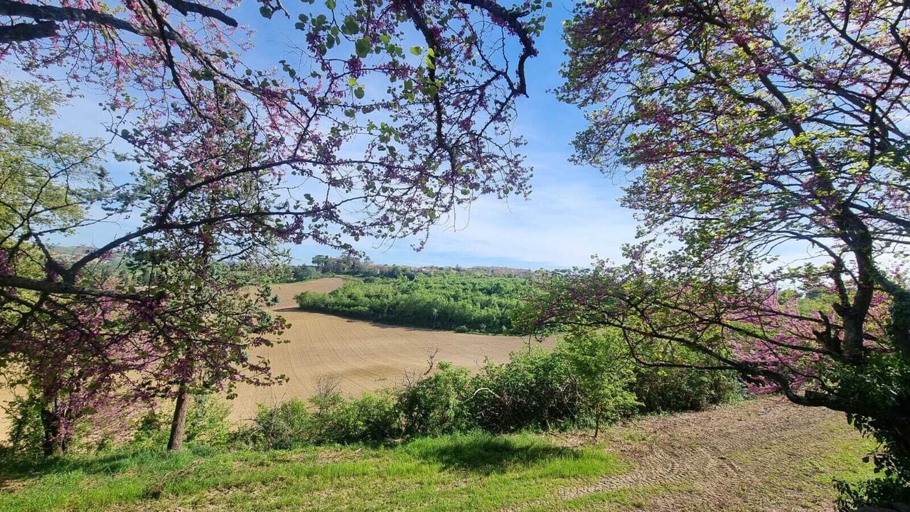Photo of Outdoor in Jegun