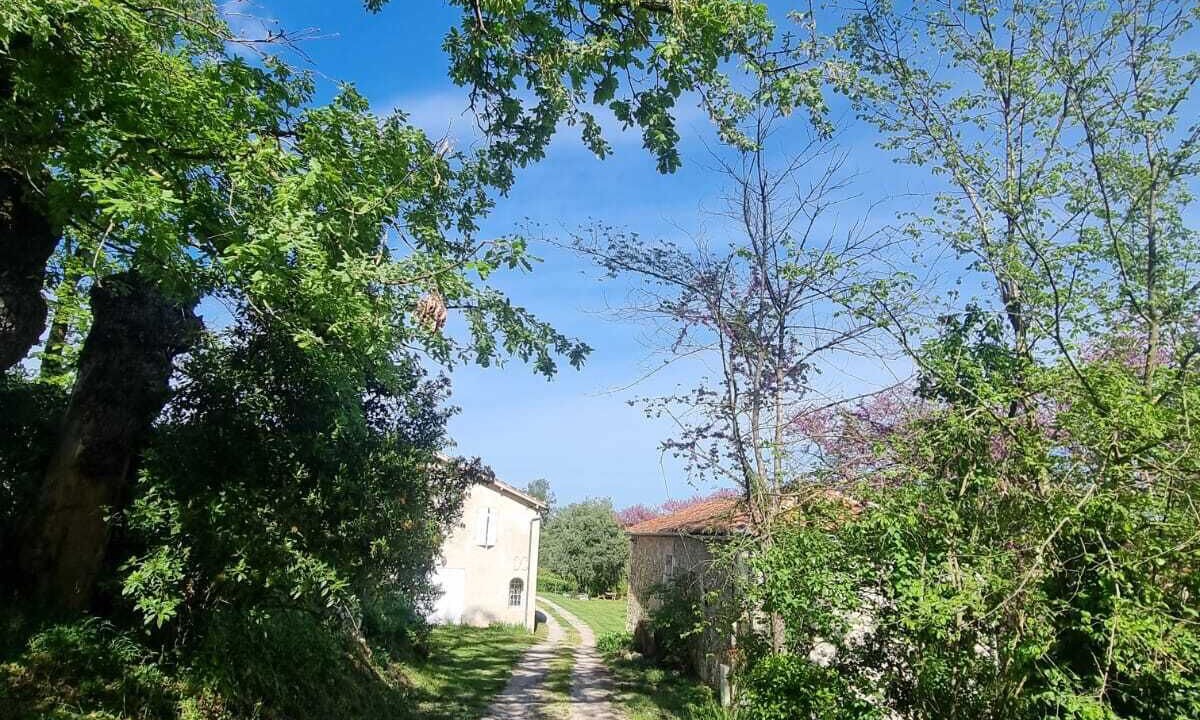 Photo of Outdoor in Jegun