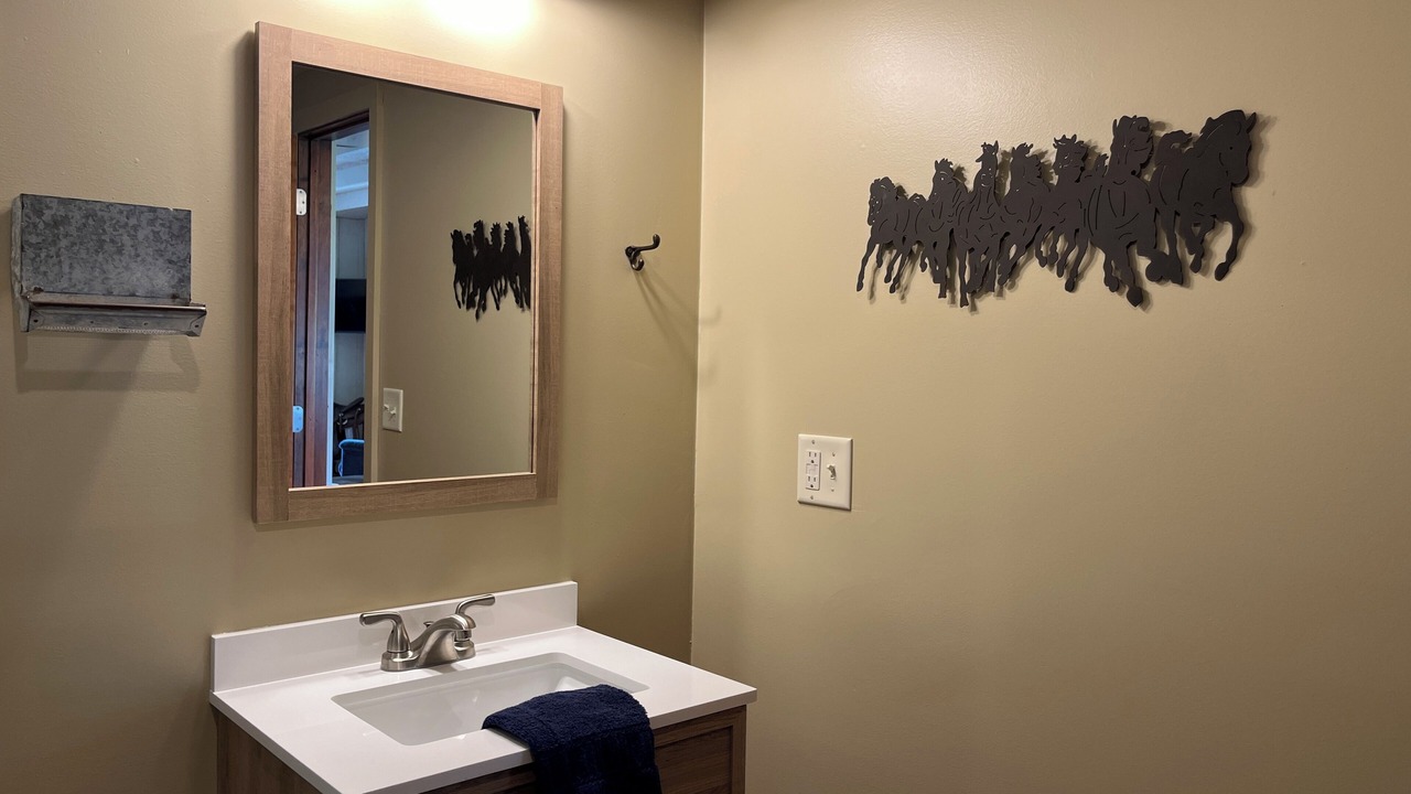 Photo of Bathroom in Brookline Station