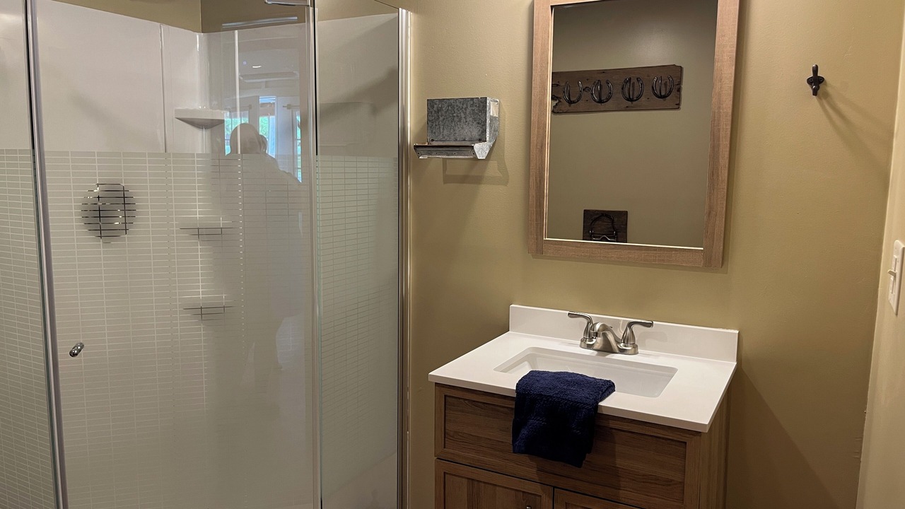 Photo of Bathroom in Brookline Station